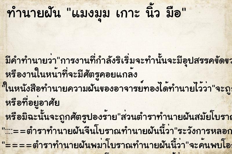 ทำนายฝันแมงมุมเกาะนิ้วมือ ทำนายฝันทำนายฝันแมงมุมเกาะนิ้วมือ